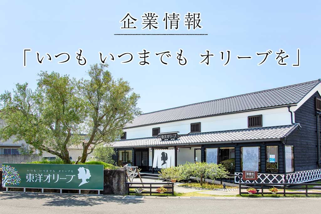 企業情報 「いつも いつまでも オリーブを」