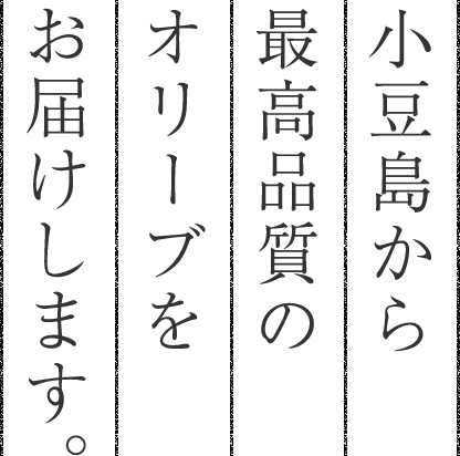 小豆島から最高品質のオリーブをお届けします。